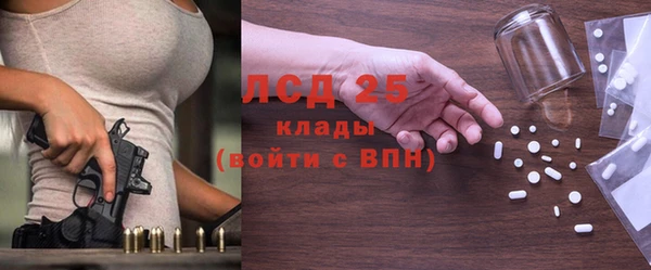 spice Верея