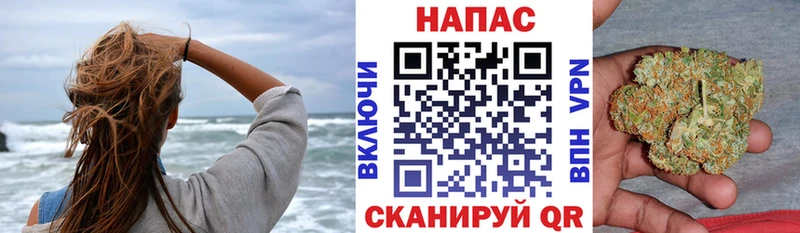 Марихуана сатива  blacksprut   Питкяранта  даркнет сайт 